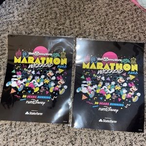 2 Disney Marathon Run Posters from 2023